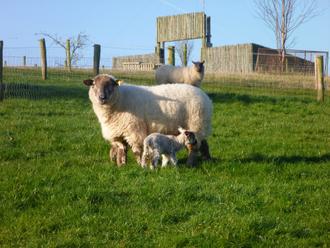 nore valley park kilkenny